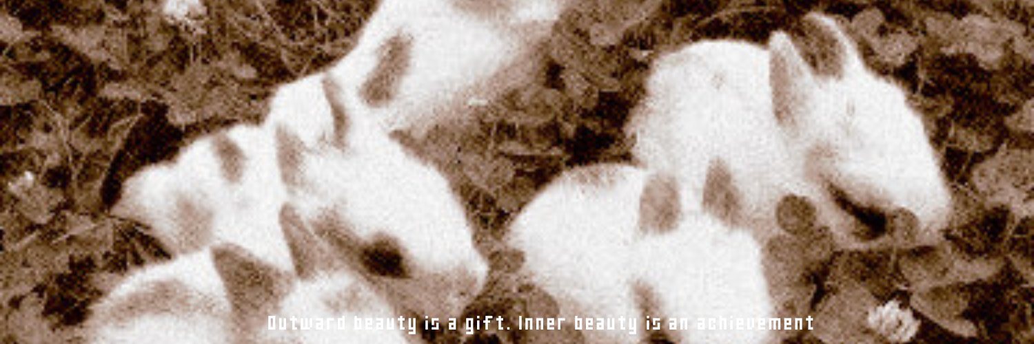 veyb's profile banner image