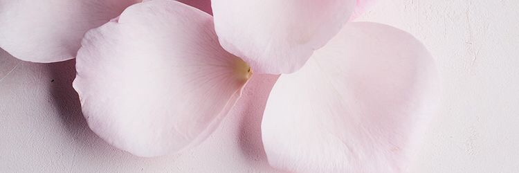 PrisciPortillo's profile banner image