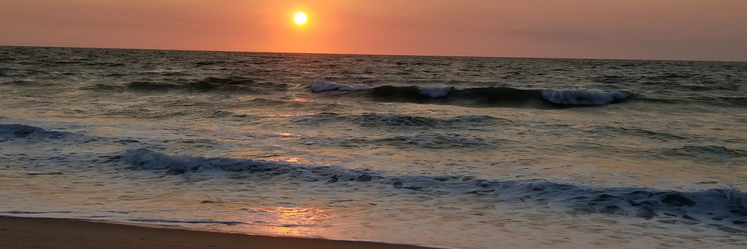 🦈 Alli 🦈 banner