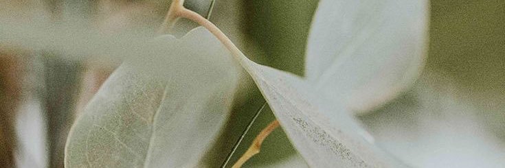 z_millah's profile banner image