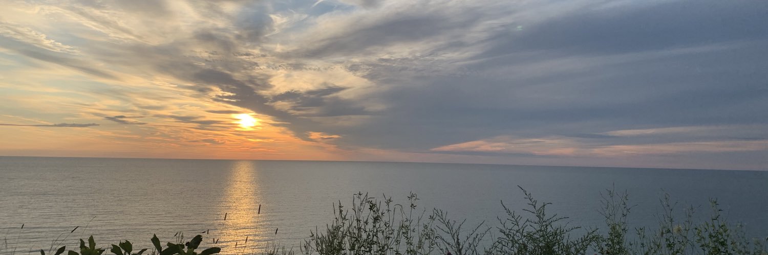 vic_schulist's profile banner image
