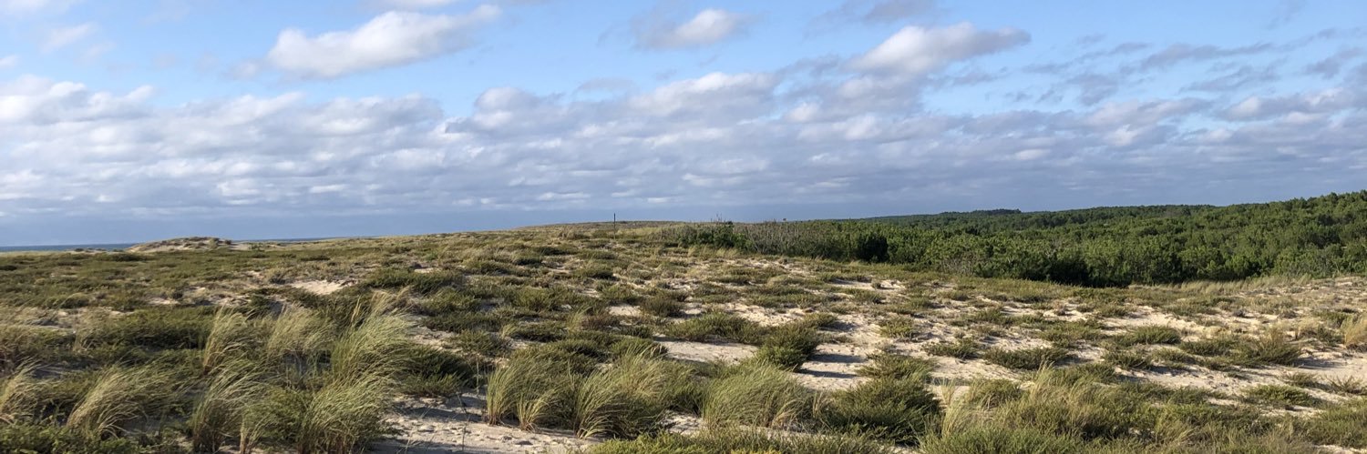 Adrien Vergnolle banner