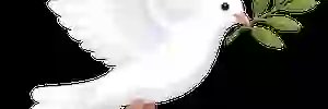ishakyldz2's profile banner image