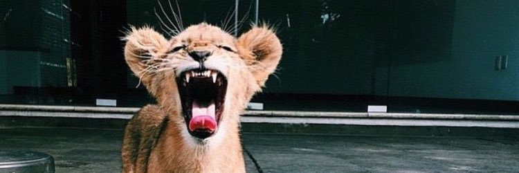 _DJames21's profile banner image
