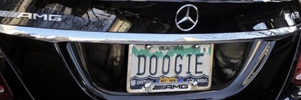 doogielester's profile banner image