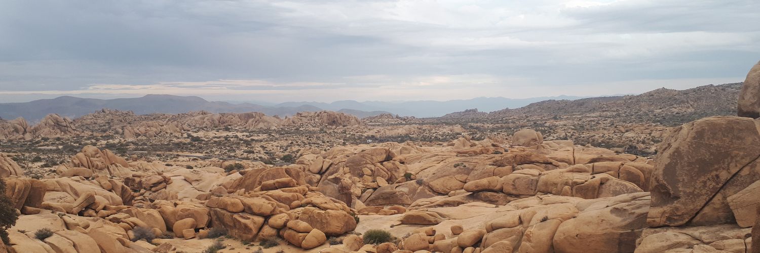 dk481's profile banner image