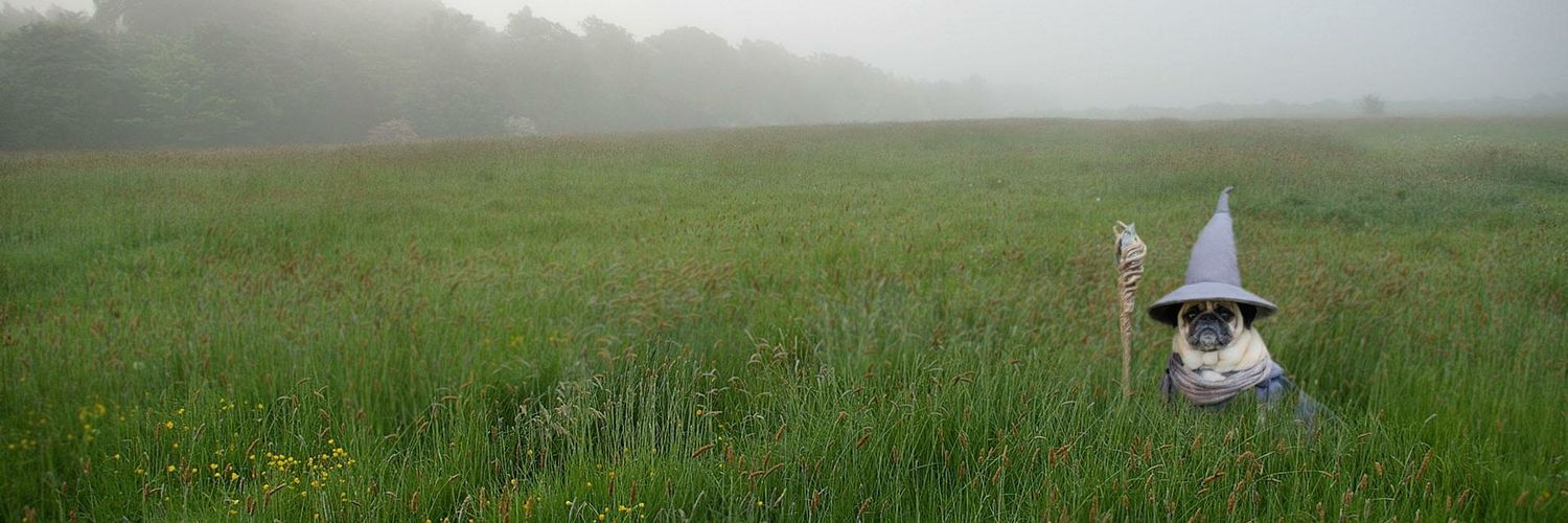 EvesMann's profile banner image