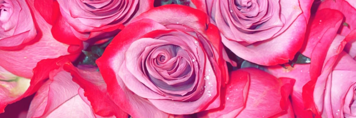 aileenad18's profile banner image