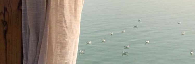 twe_trf's profile banner image