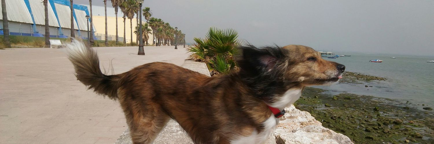 JesulyBackuly's profile banner image