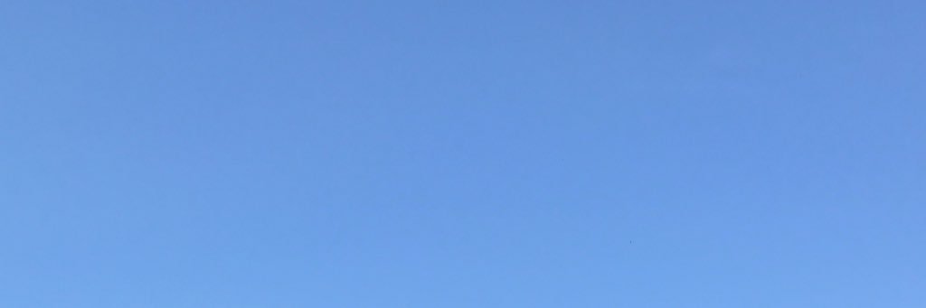 Megan_Suder's profile banner image