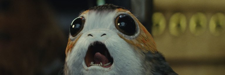 Emma Catan 🏳️‍🌈 🏳️‍⚧️ banner