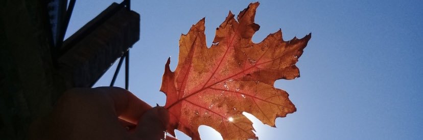 ___Vaaall's profile banner image