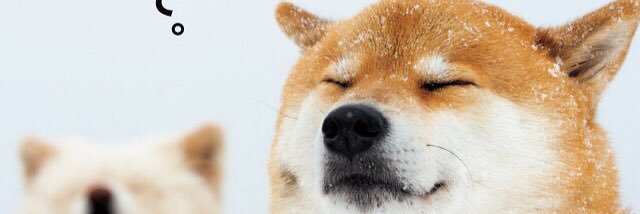 kemsunshine's profile banner image