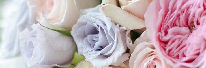 irinaledesma79's profile banner image