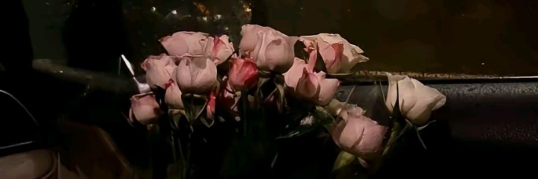 theQuenn2's profile banner image