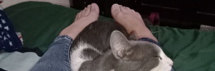 Sam_QG20's profile banner image