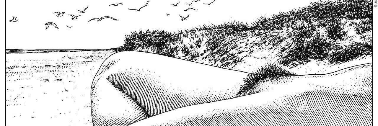 AdrianoDaltro's profile banner image