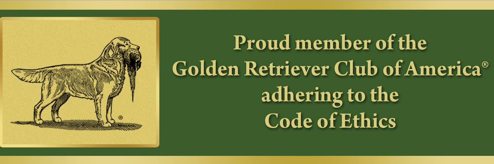 James H Cohen banner