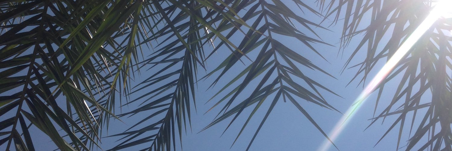MiftariAjser's profile banner image