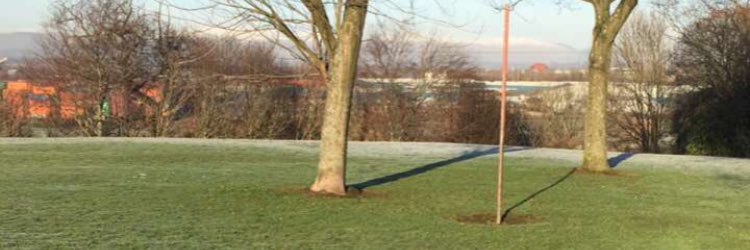 Ross Alexander banner