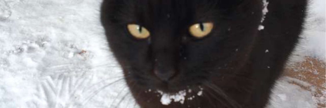 TyHo_'s profile banner image