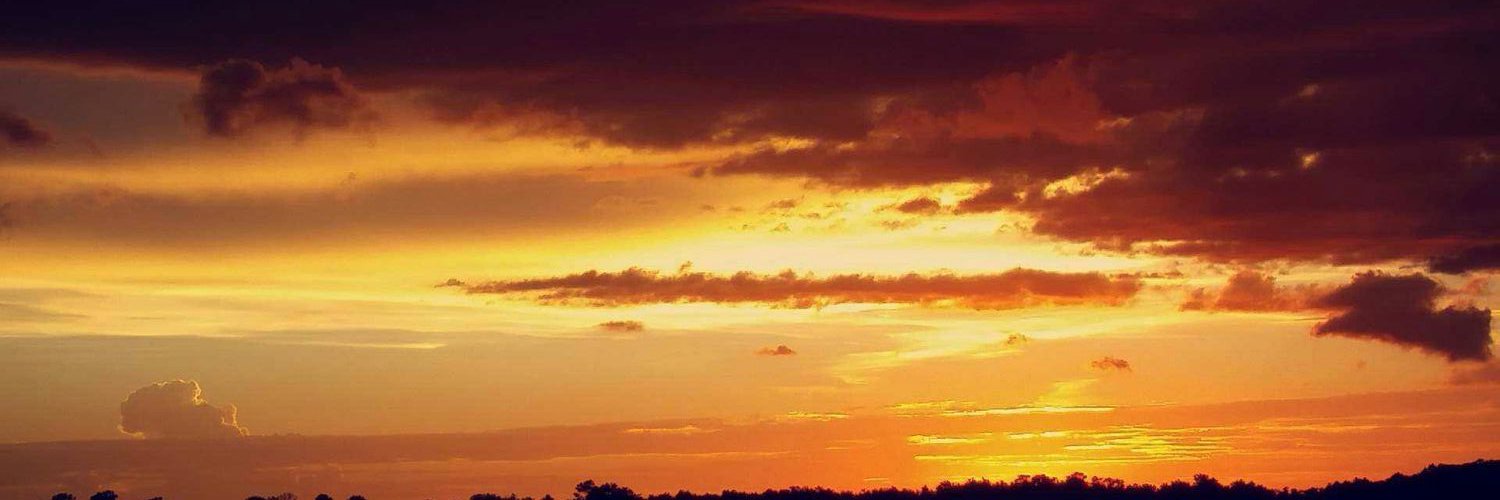 Elivp4's profile banner image