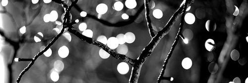 ariipam's profile banner image