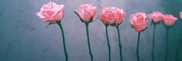 bribxoxo's profile banner image