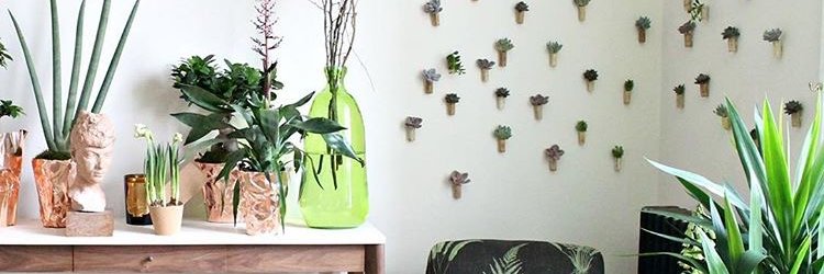 BeautifulCEO's profile banner image