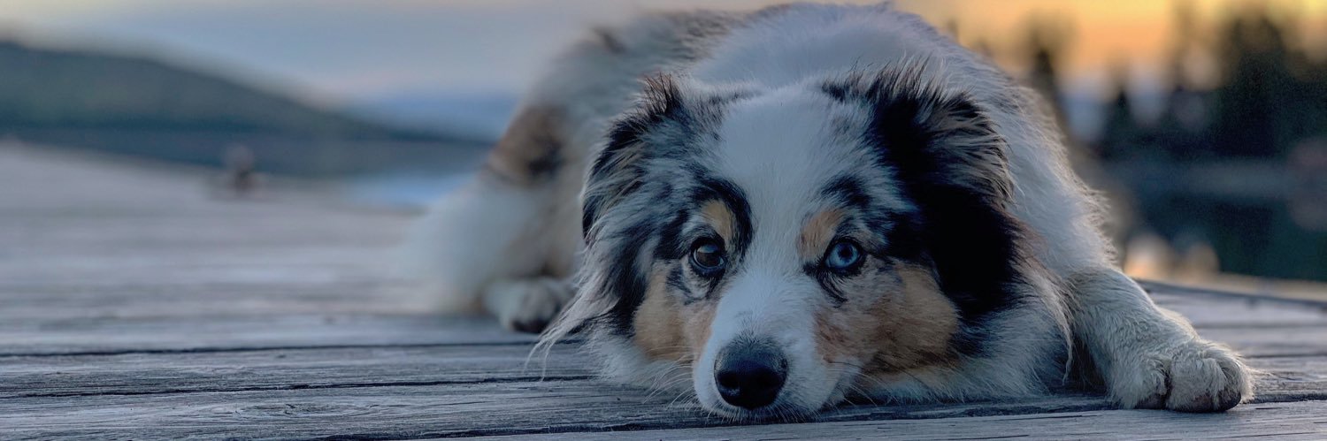 Aaron Johnston, PharmD, BCEMP banner