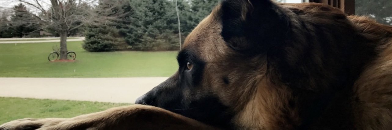 Huntery0_'s profile banner image