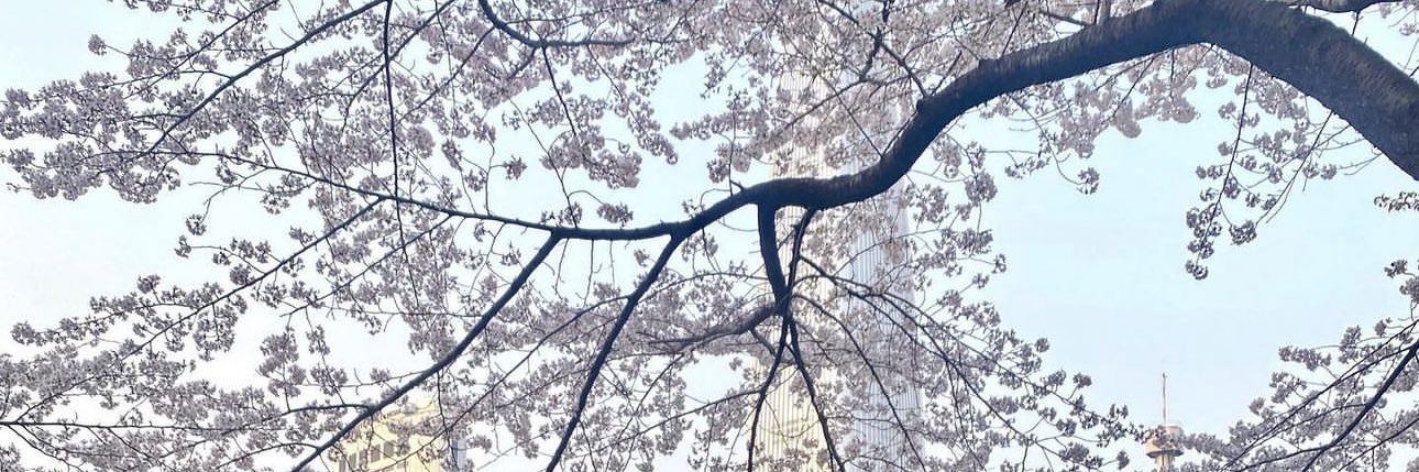 HelenaK_1's profile banner image