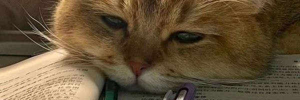 _totoylog Profile Banner