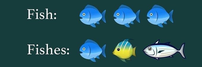 Coach Fisher🐟🏈 banner