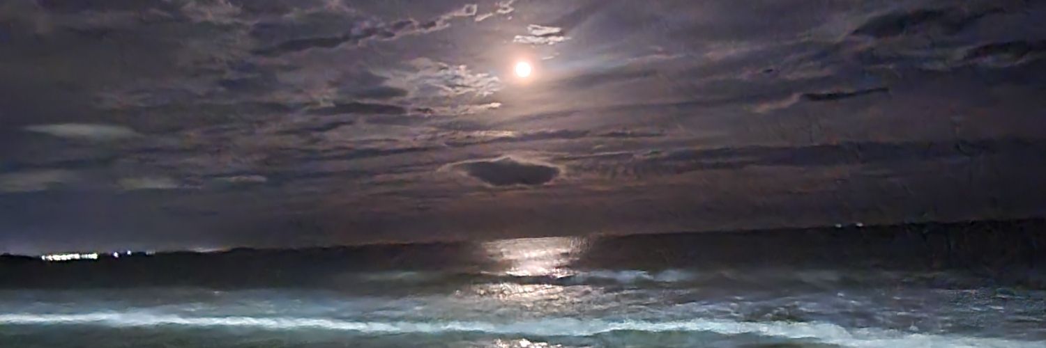 pimentelas's profile banner image