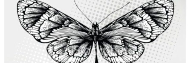 nicdomingues's profile banner image