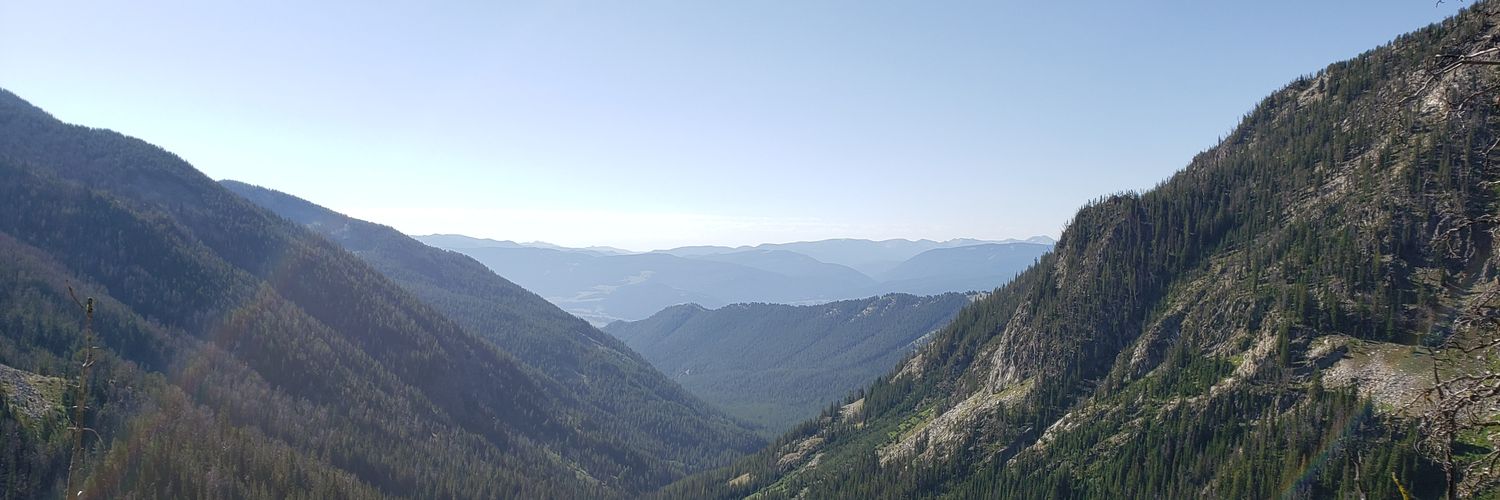 ZachDanelson's profile banner image