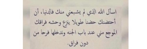 LamaBaloush's profile banner image