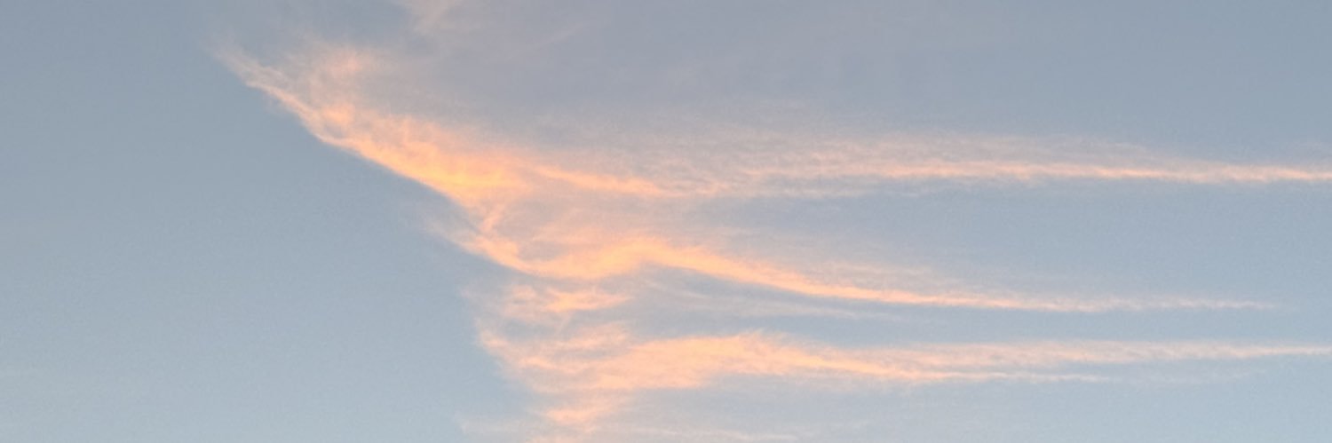 RebecAlvarez30's profile banner image
