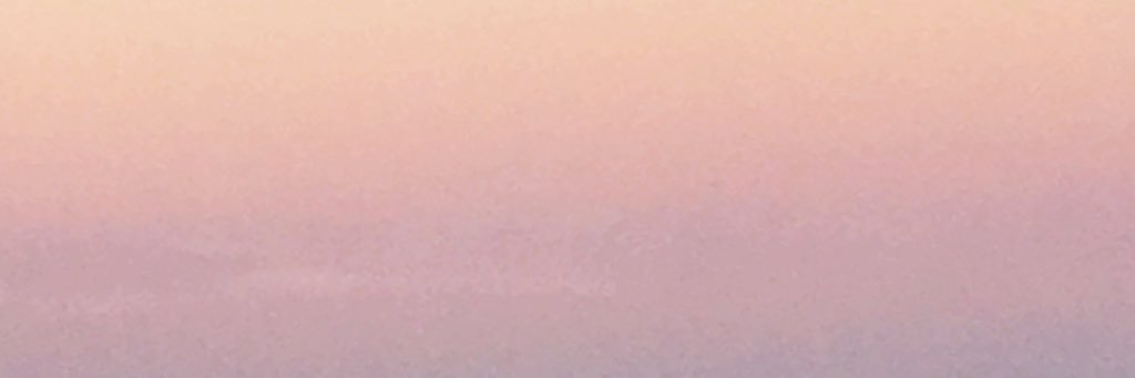 MissGellert's profile banner image