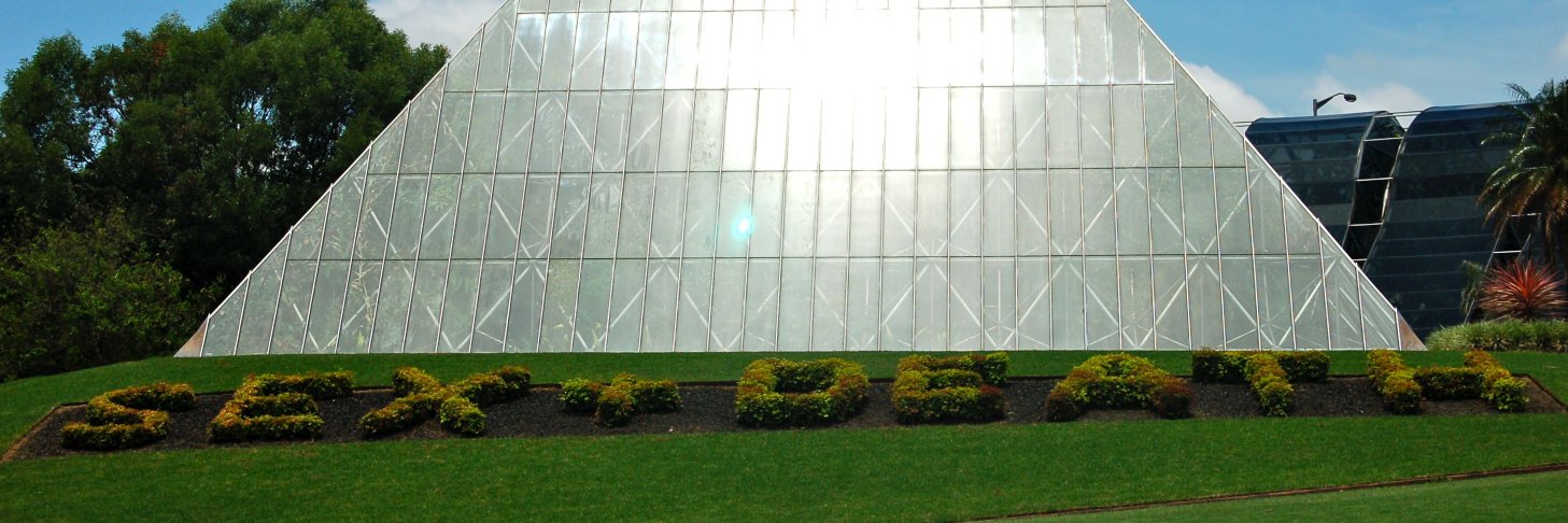 Adam Chippindale banner