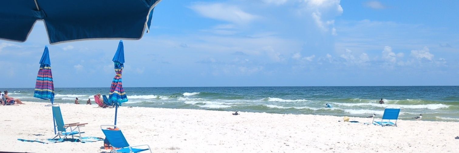 NoCallNoShow 🌳 banner