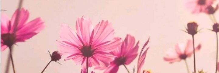 CallMufasaa's profile banner image