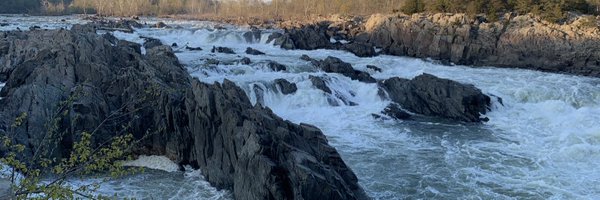 SethScheer Profile Banner