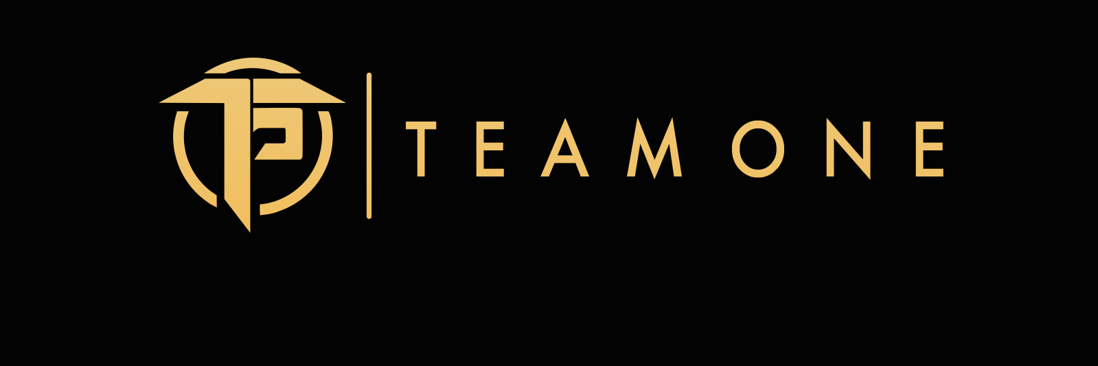 Team One banner