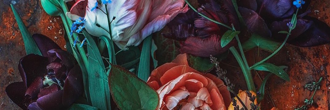 RoseGotTweets's profile banner image