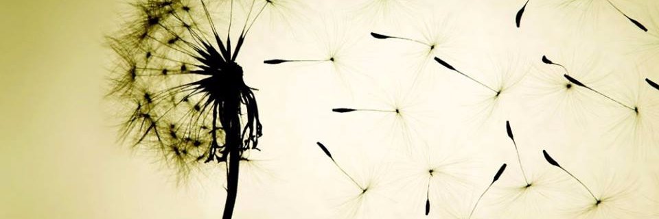 bindunada's profile banner image