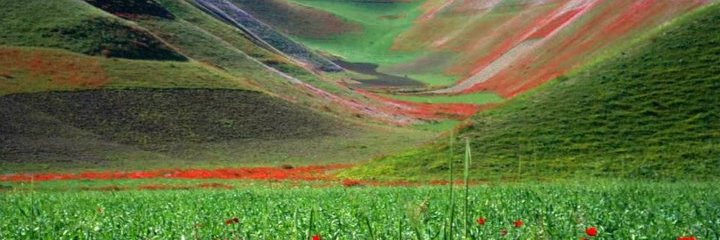 farzan banner