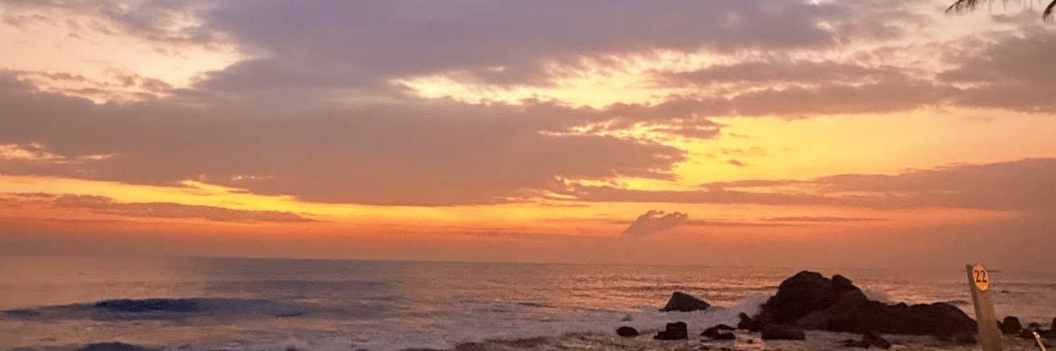 Matthew Stone banner